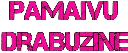 https://pamaivudrabuzine.lv
